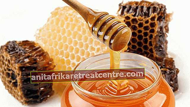 Apa manfaat dan bahaya madu penyimpan energi? Berikut manfaat madu