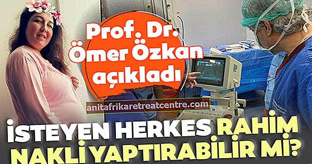 Profesor Özkan menjelaskan! Bolehkah seseorang melakukan pemindahan rahim jika mereka mahu?