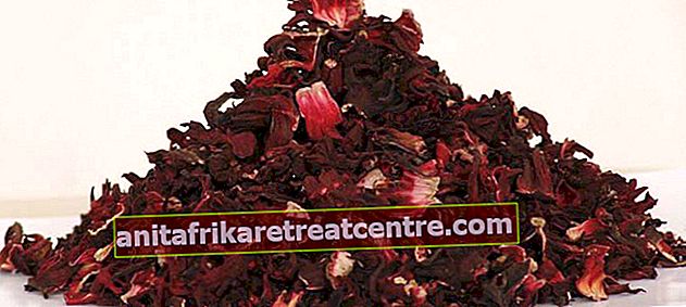 Quali sono i benefici e i rischi del tè all'ibisco? Il tè all'ibisco si indebolisce, cosa fa?